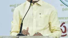 రెండు రోజులు చంద్రబాబు బిజీబిజీ