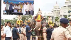 కుంకీలతో మదపుటేనుగులు దారికొస్తాయా?