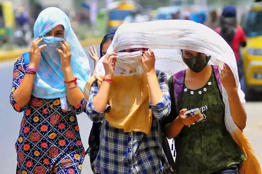 ఈ ‘రోహిణి’లో రోళ్లు పగలవ్! ఈ ‘రోహిణి’లో రోళ్లు పగలవ్!