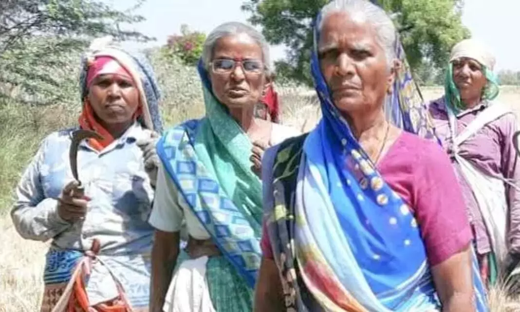 ‘‘ముప్పై ఏళ్లు కష్టపడి సాగులోకి తెచ్చాక లాక్కోవాలనుకుంటున్నారు’’ ‘‘ముప్పై ఏళ్లు కష్టపడి సాగులోకి తెచ్చాక లాక్కోవాలనుకుంటున్నారు’’
