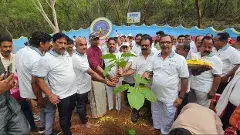 మన పుట్టినరోజున మన భూమి తల్లికి మొక్కల కానుక