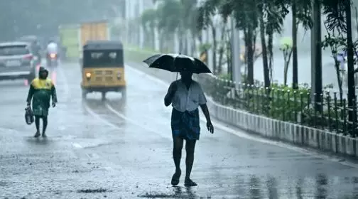 కడప జిల్లాలో 87మిమీ వర్షపాతం కడప జిల్లాలో 87మిమీ వర్షపాతం