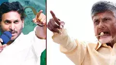 టీడీపీ విజయోత్సవాలు... వైఎస్సార్సీపీ నిరసనలు...