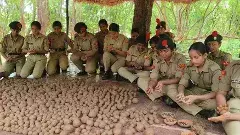 సీడ్‌ బాల్స్‌తో హరిత హారం!