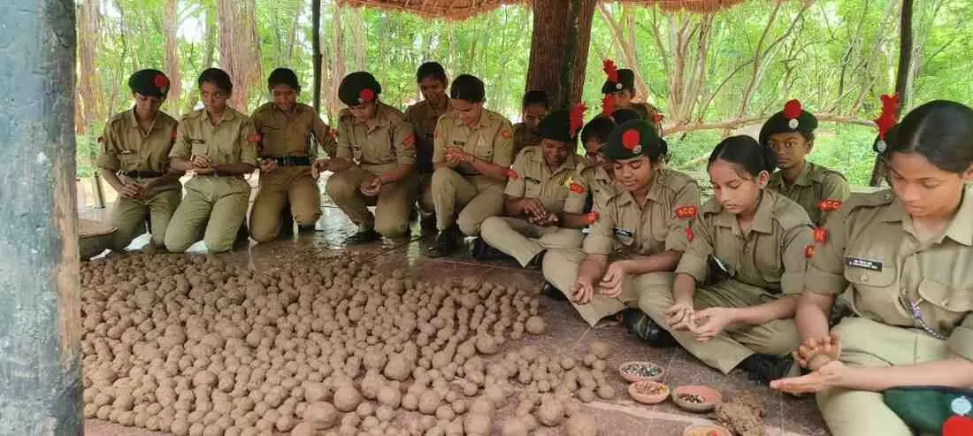 సీడ్‌ బాల్స్‌తో హరిత హారం!