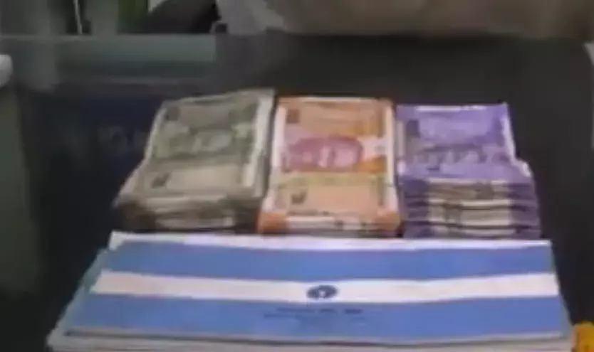 నెల్లూరు : చెత్త కుప్పలో నోట్ల కట్టలు