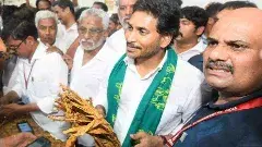 గిట్టుబాటు ధరల్లేక రైతులు అల్లాడిపోతున్నారు