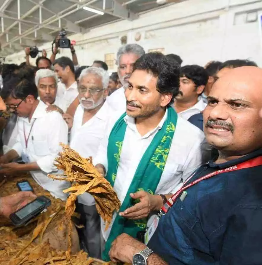 గిట్టుబాటు ధరల్లేక రైతులు అల్లాడిపోతున్నారు గిట్టుబాటు ధరల్లేక రైతులు అల్లాడిపోతున్నారు