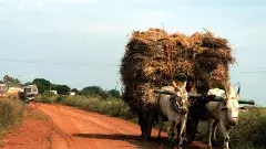 గోదావరి-బనకచర్ల : రాయలసీమను మభ్యపరచడంలో  పరాకాష్ట