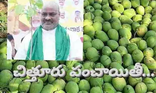 మామిడి తగువుకు మంత్రి అచ్చెన్న ఏ మంత్రం వేస్తారు? మామిడి తగువుకు మంత్రి అచ్చెన్న ఏ మంత్రం వేస్తారు?