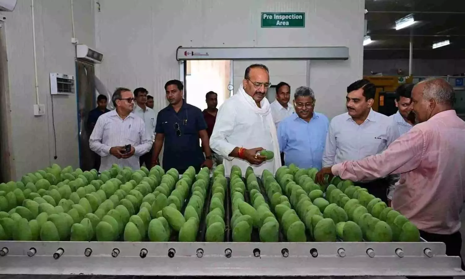 యూపీ దసరి మామిడి దుబాయ్కి ఎగుమతి యూపీ దసరి మామిడి దుబాయ్కి ఎగుమతి