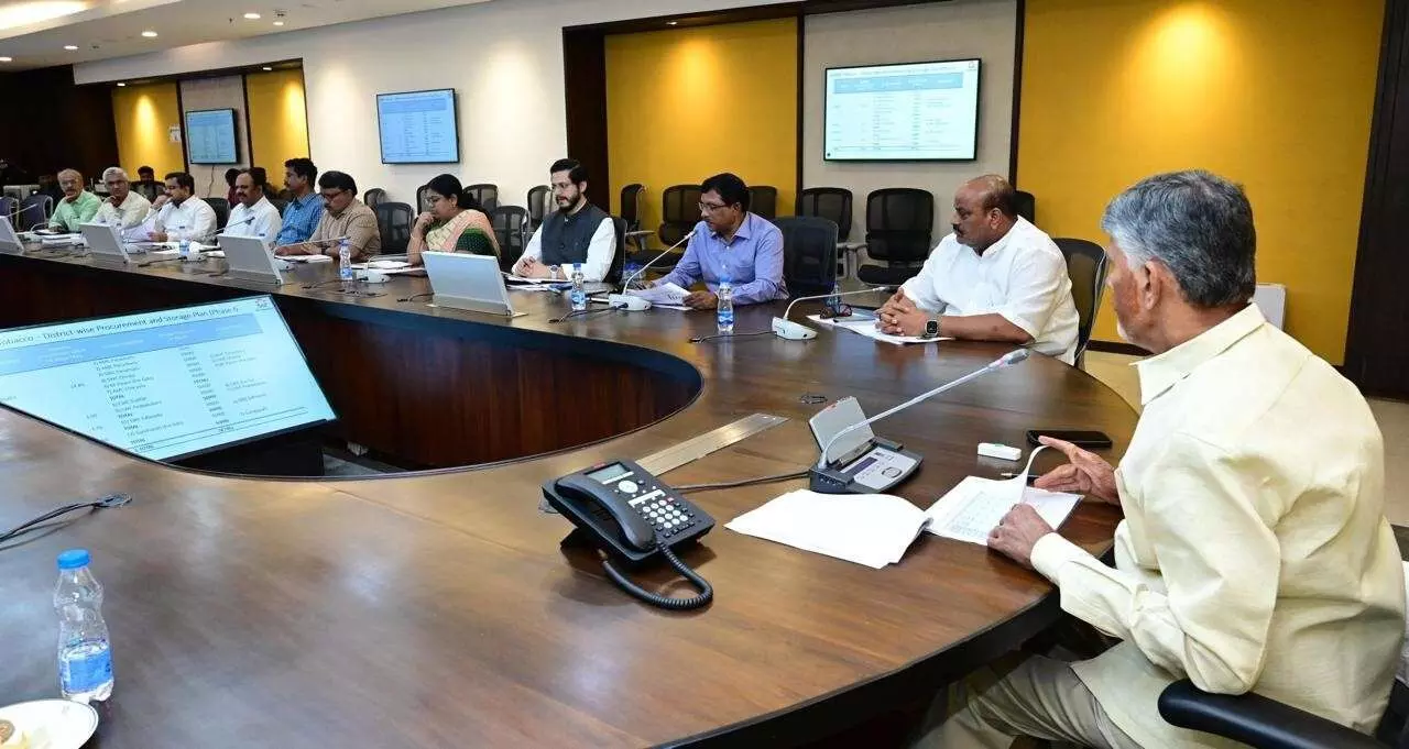 పంటలను వాణిజ్య కోణంలోనే చూడాలి: సీఎం చంద్రబాబు పంటలను వాణిజ్య కోణంలోనే చూడాలి: సీఎం చంద్రబాబు