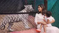 ఆడపులి దత్తత తీసుకున్న ఉపాసన, క్లీంకార పేరు