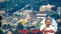 TTD | భూమనా.. ఏమి మాటలివి..?