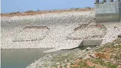 నిధుల జల్లు’ గోరుకల్లు రిజర్వాయర్ ను నిలబెడుతుందా?