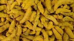 ఇదీ పసుపుబోర్డు కేంద్రంగా రాజకీయం, రైతుల మద్ధతు కోసం బీజేపీ యత్నాలు