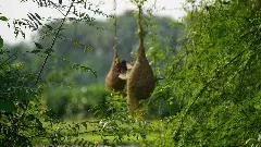 మన మూలాలేవో శోధించడం గొప్ప అనుభవం...