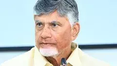 కేంద్ర మంత్రి మాండవీయతో చంద్రబాబు భేటీ