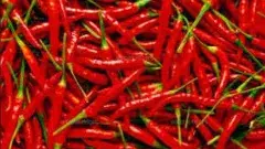 తింటే గుంటూరు కారమే తినాలని ఎందుకంటారంటే..!