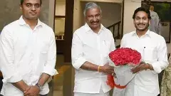 YCP | పెద్దిరెడ్డికి పెద్ద కష్టం