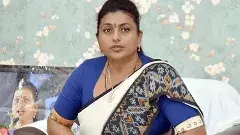 ఆశల పల్లకిలో రోజా