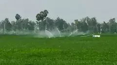 ఈ పచ్చని కరేడు భూములను ‘ఇండోసోల్’ కి కట్ట బెట్టవద్దు...