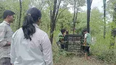 Exclusive | శేషాచలం అడవుల్లో అలిపిరి వద్ద ఆపరేషన్ చిరుత