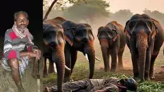 చిత్తూరు : ఏనుగుల పాదాల కింద నలిగిన మరో రైతు