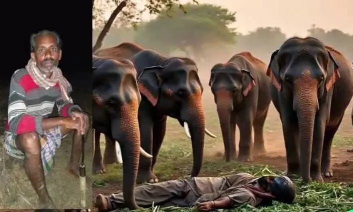 చిత్తూరు : ఏనుగుల పాదాల కింద నలిగిన మరో రైతు