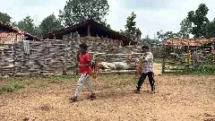 వాగు పొంగితే వారికి ప్రాణాలు దక్కవు!