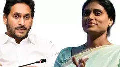 సరస్వతీ షేర్ల వివాదంలో తల్లీ, చెల్లికి ఎదురుదెబ్బ – జగన్‌కు ఊరట