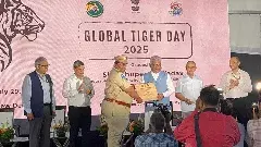 అమ్రాబాద్ బీట్ ఆఫీసరుకు ‘టైగర్’ జాతీయ అవార్డు, ఎందుకు వచ్చిందంటే...