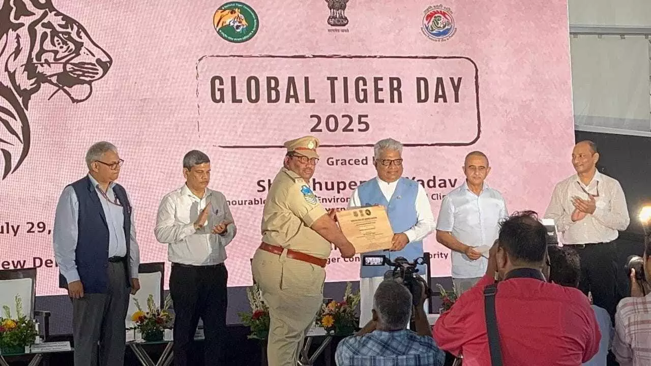 అమ్రాబాద్ బీట్ ఆఫీసరుకు ‘టైగర్’ జాతీయ అవార్డు, ఎందుకు వచ్చిందంటే...
