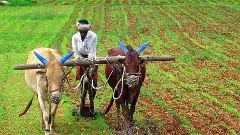 ఆంధ్రా భూముల కేటాయింపుల్లో కుంభకోణం ఉందా?