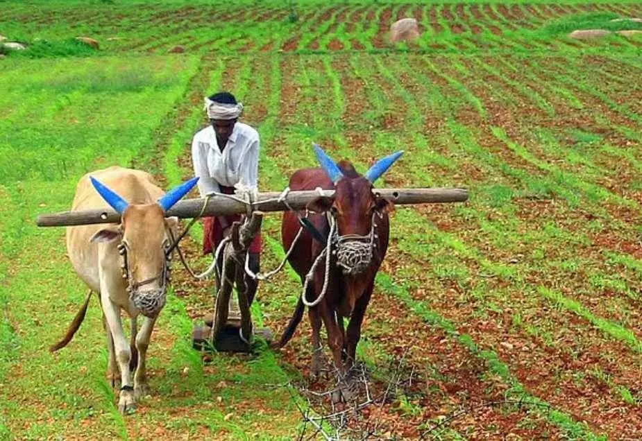 ఆంధ్రా భూముల కేటాయింపుల్లో కుంభకోణం ఉందా?