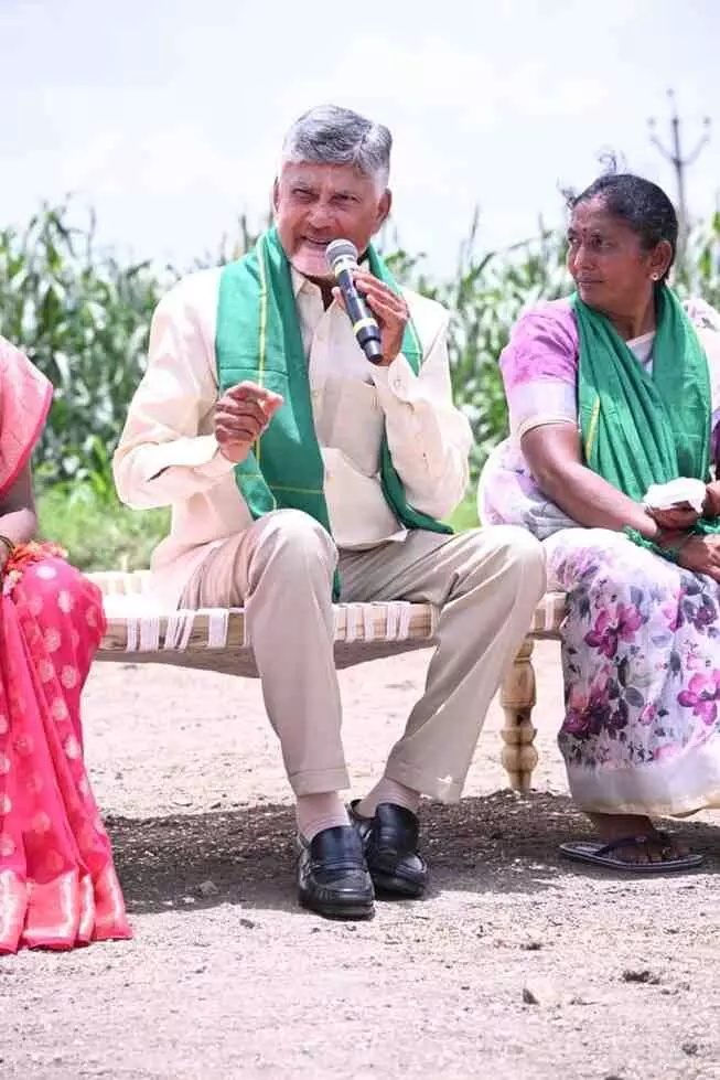 రైతు రాజుగా మారాలి రైతు రాజుగా మారాలి