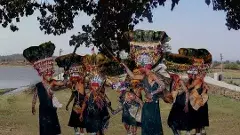 ఆదివాసీ దినోత్సవాల లాభమేంటీ?