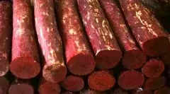 వాంటెడ్‌ ఎర్రచందనం స్మగ్లర్‌ అరెస్టు