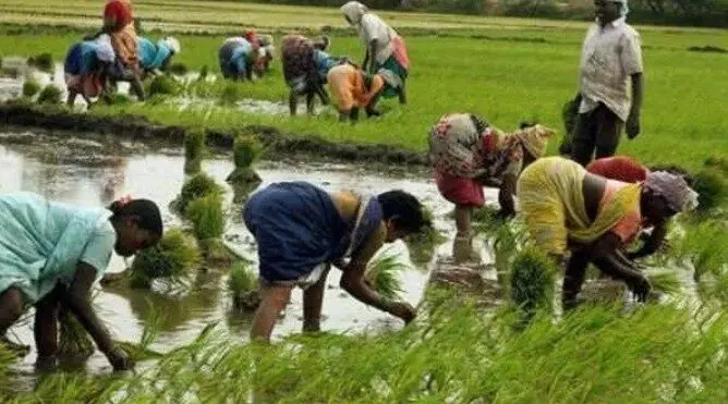 క్రాప్ లోన్స్ కు దూరంగా కౌలు రైతులు