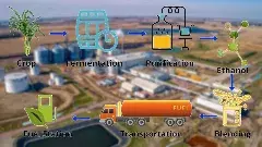 నేటి పరిశుద్ధమైన గాలి కోసం రేపటి ఆహారాన్ని పణంగా పెట్టాలా?