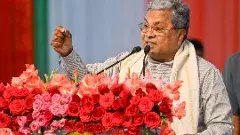 ‘‘వీధి కుక్కలను తొలగించడం అనేది పాలన కాదు క్రూరత్వం’’