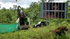 జనం నుంచి మళ్లీ వనంలోకి...