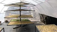 రైతులకు సోలార్ డ్రయ్యర్ల తోడు