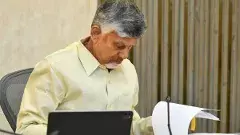 ఎరువులను బ్లాక్‌ మార్కెట్‌కు తరలిస్తే కేసులు