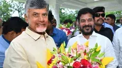 Cases on Chandrababu | చంద్రబాబుపై 19, రేవంత్ పై 80 కేసులు