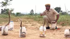 నాటి పాము కాటు బాధితుడే నేటి సర్ప రక్షకుడు