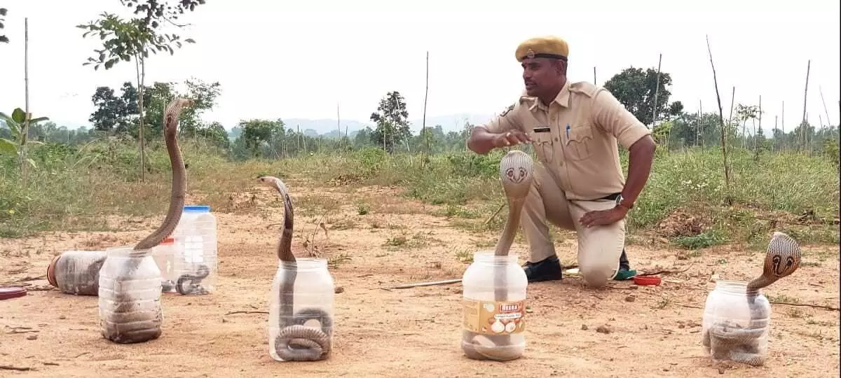 నాటి పాము కాటు బాధితుడే నేటి సర్ప రక్షకుడు