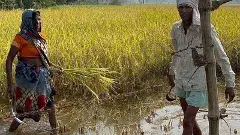 నబార్డ్  చెప్పిన పల్నాటి  కౌలు రైతు కథ విన్నారా!