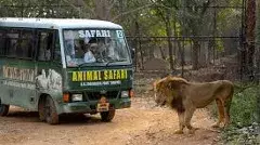 తిరుపతి జూ పార్కులో విషాదం.. ఆగని మరణాలు