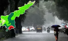 ఏపీలో ఇవాళ కూడా వానలే వానలు.. జాగ్రత్త! ఏపీలో ఇవాళ కూడా వానలే వానలు.. జాగ్రత్త!